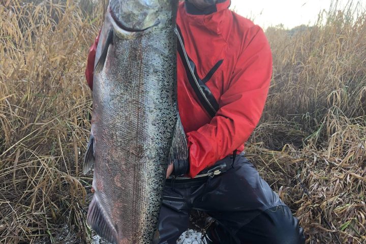 a person holding a fish